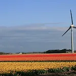 Vitamine Zee * Petten