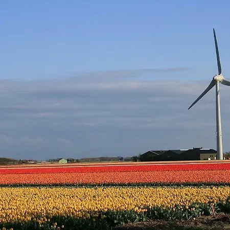 Vitamine Zee * Petten