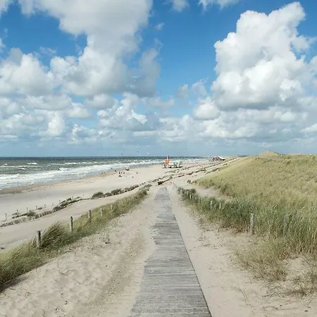 Vitamine Zee Petten